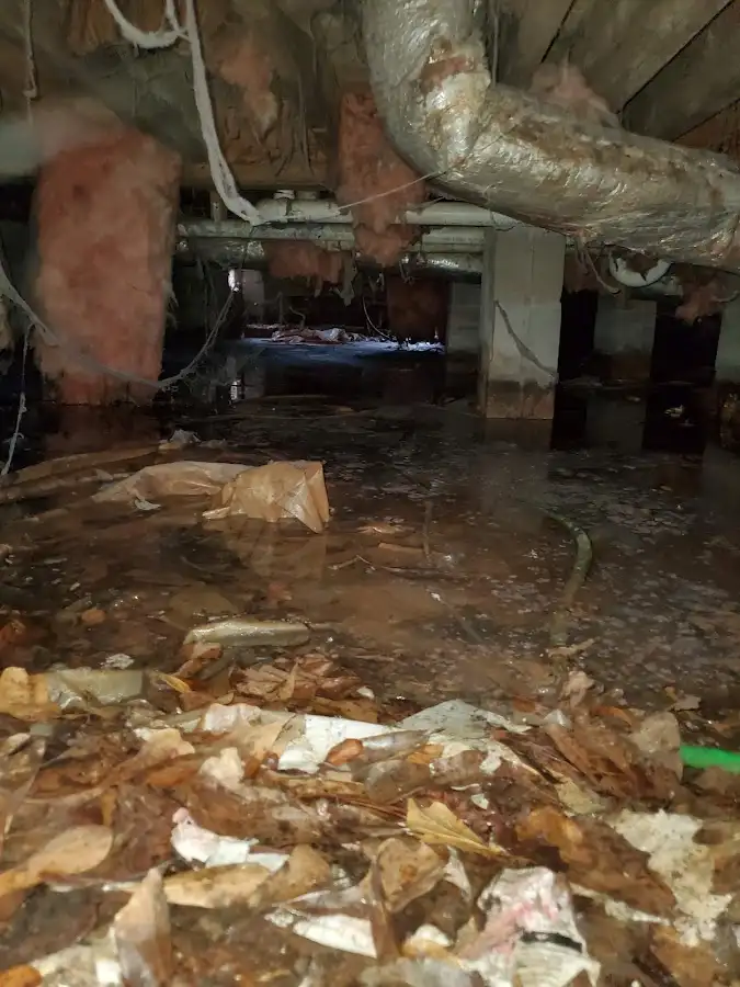 Crawl space flood assessment for Leak Detection & Repair in Blacklick Estates