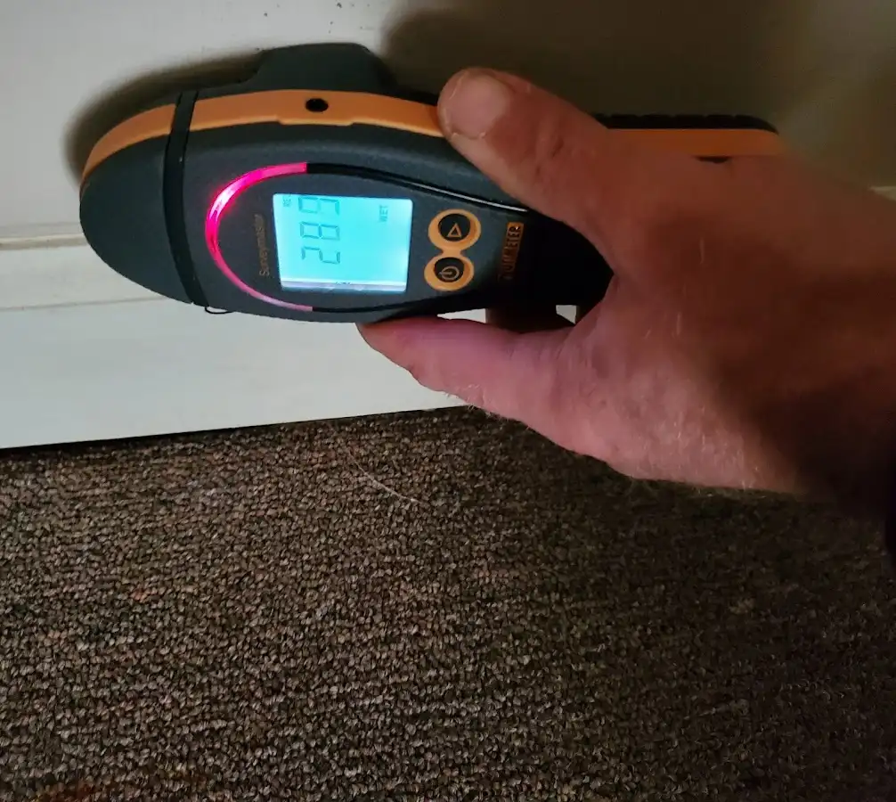 Moisture detection at baseboard during Mold Inspection & Testing in Blacklick Estates